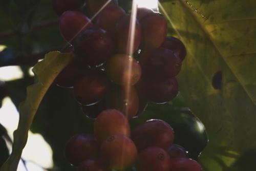 Preview image 1