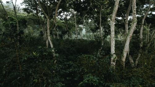 Preview image 1