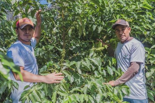 Preview image 9