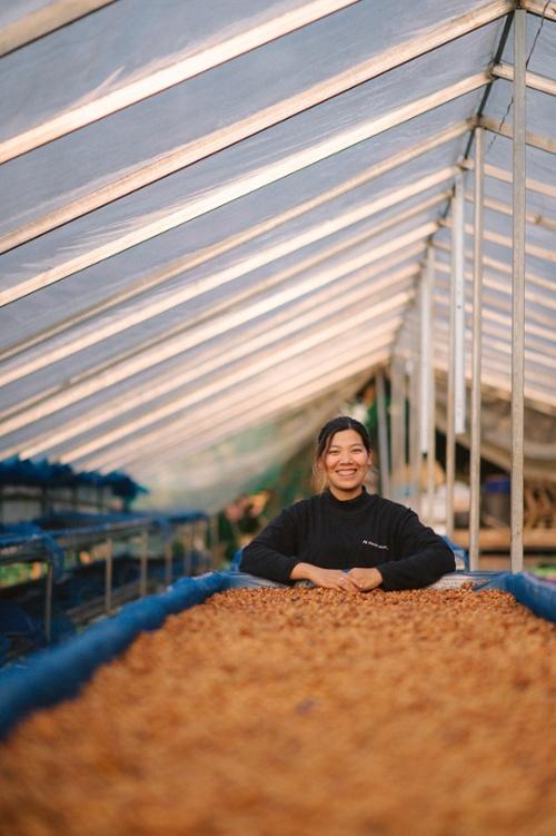 Preview image 7