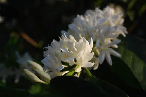 Preview image 5