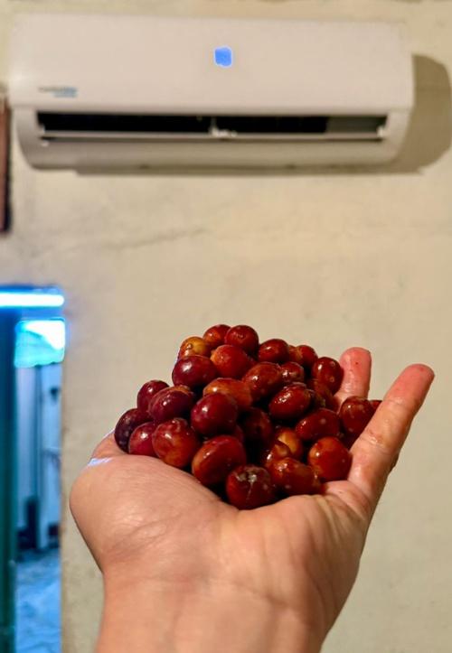 Preview image 8