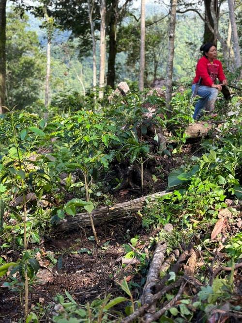 Preview image 8