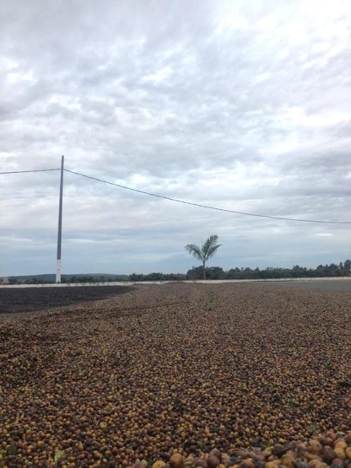 Preview image 13