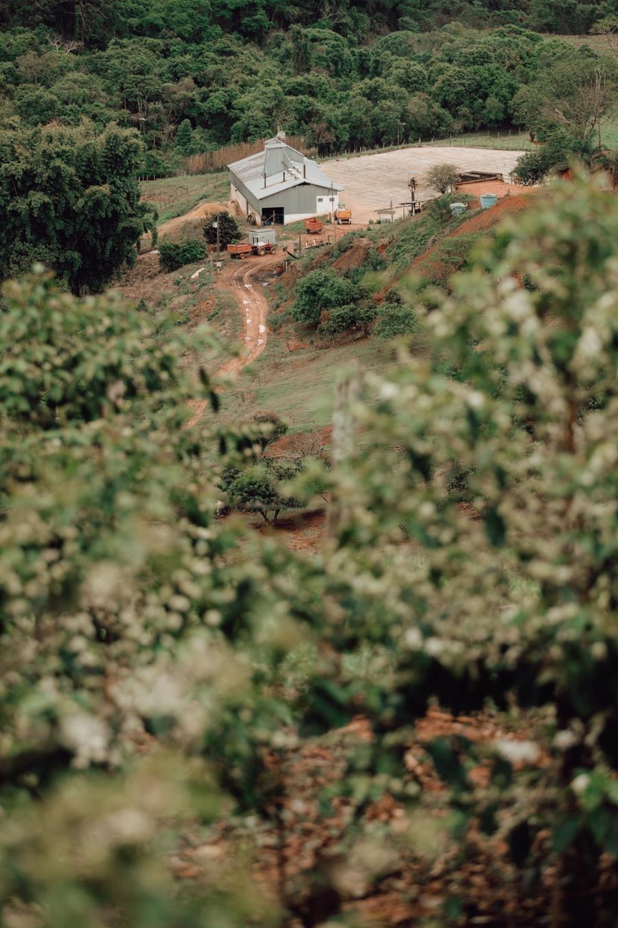 Preview image 3
