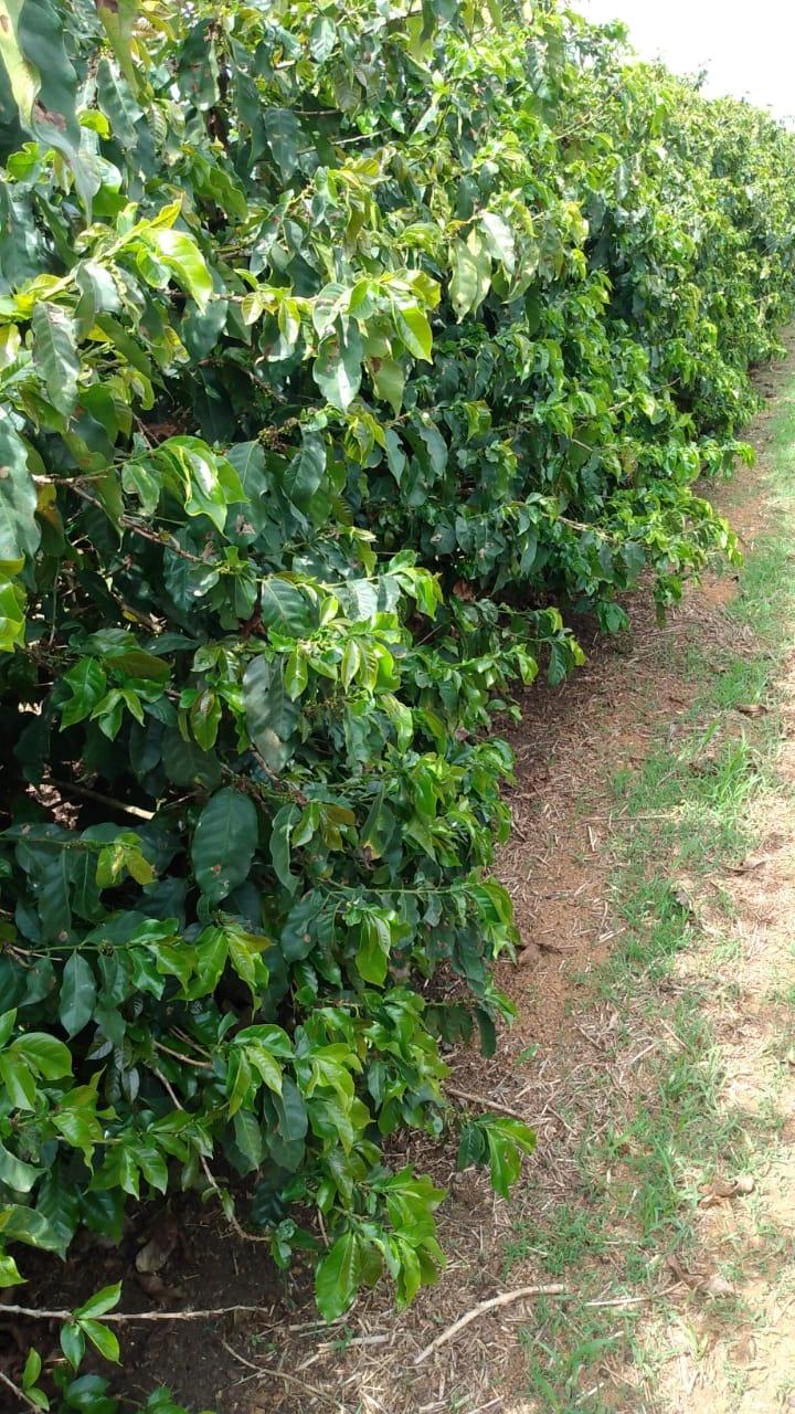 Preview image 6